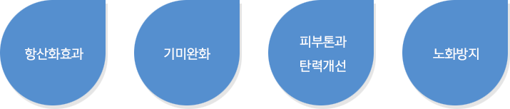 항산화효과 기미완화 피부톤과 탄력개선 노화방지